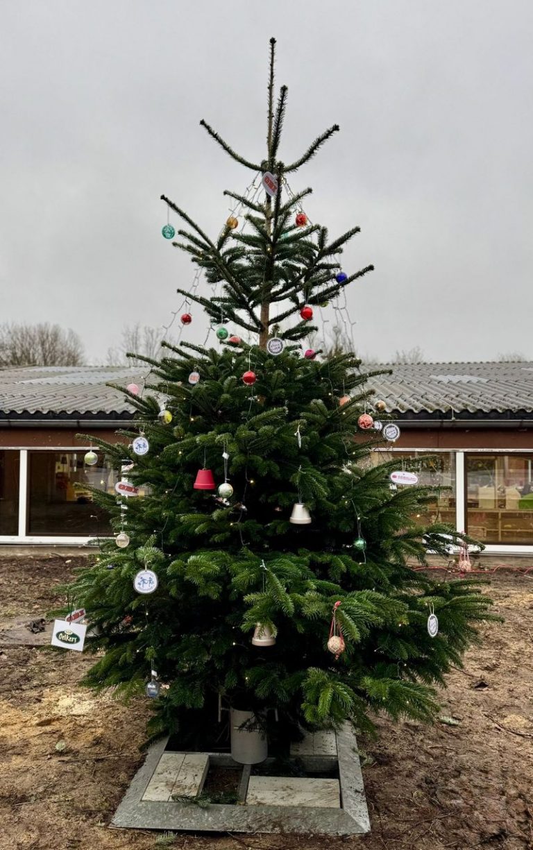 Ein Weihnachtsbaum zum Adventsbasteln!