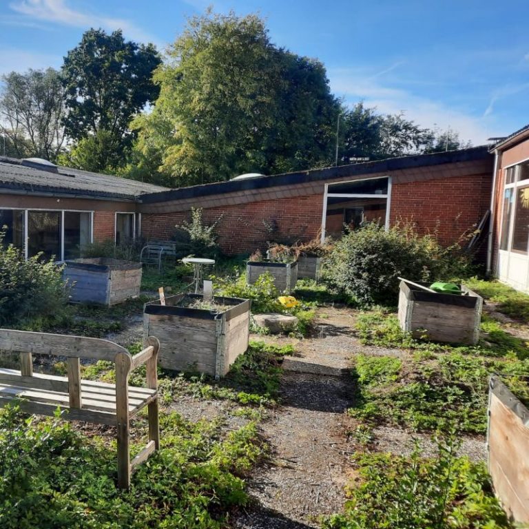 Der neue Schulgarten